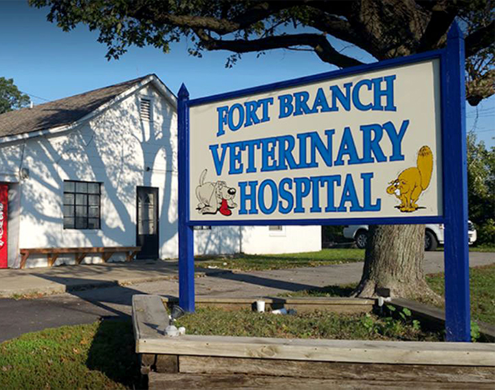Carousel Slide 3: Fort Branch Veterinary Hospital